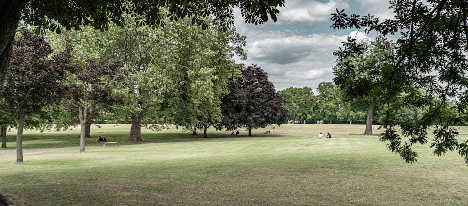 A paved pathway in Valentines Park, Ilford, with a gentle curve leading into a scenic, tree-lined area. The path is bordered by grass and features several lamp posts along its length. There are variou